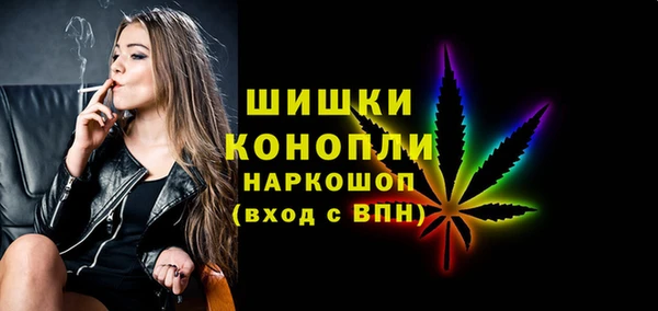 PSILOCYBIN Козловка