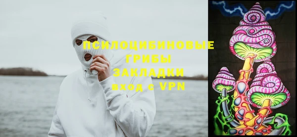 PSILOCYBIN Козловка