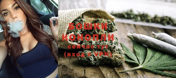 PSILOCYBIN Козловка