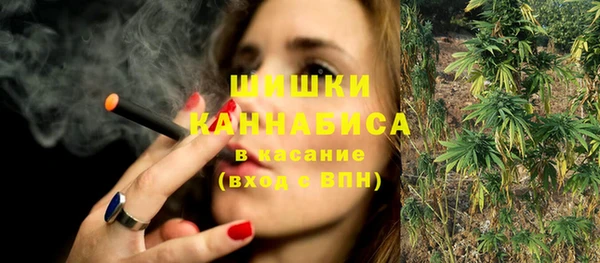 PSILOCYBIN Козловка